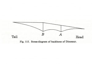 stress diagram of backbone - Bridge of the Future by Marks Barfield Architects