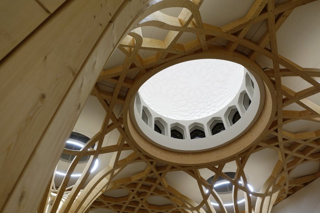 Dome and tree - marksbarfield.com