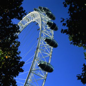 View from Jubilee Gardens looking up. The London Eye by Marks Barfield Architects