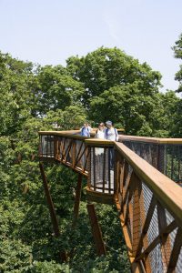 Kew Gardens Treetop Walkway by Marks Barfield Architects