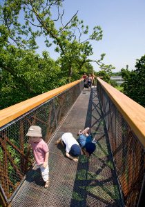 Kew Gardens Treetop Walkway by Marks Barfield Architects