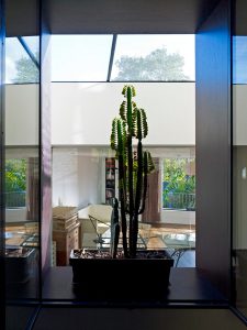 Priory Grove Interior Cactus View by Marks Barfield Architects