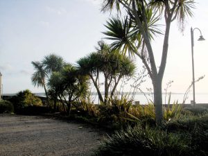 Penzance Sea View with Trees