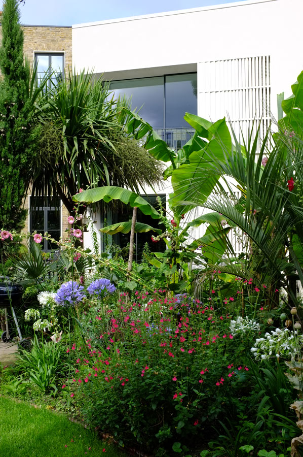 Priory Grove Back Garden View by Marks Barfield Architects