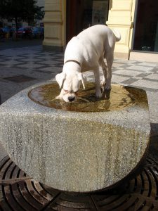 drinking water fountain concept image